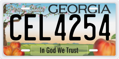 GA license plate CEL4254