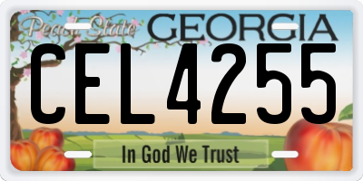 GA license plate CEL4255