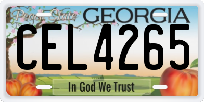 GA license plate CEL4265