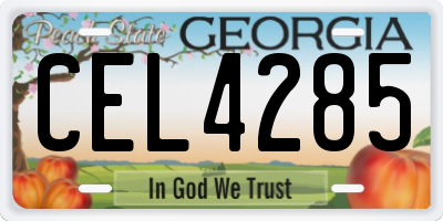 GA license plate CEL4285