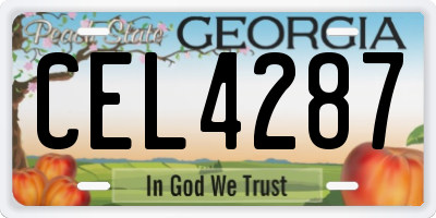 GA license plate CEL4287