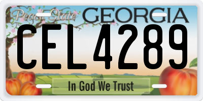 GA license plate CEL4289