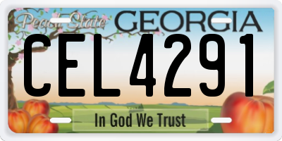 GA license plate CEL4291