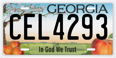 GA license plate CEL4293