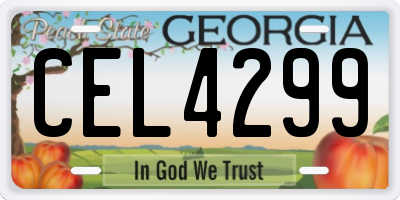 GA license plate CEL4299