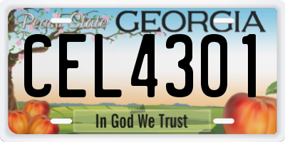 GA license plate CEL4301