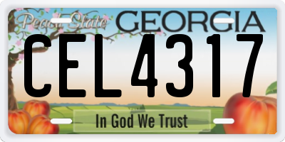 GA license plate CEL4317