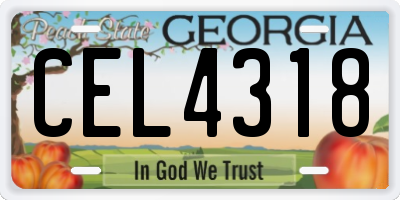 GA license plate CEL4318