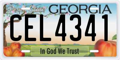 GA license plate CEL4341