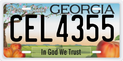 GA license plate CEL4355