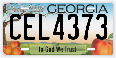 GA license plate CEL4373
