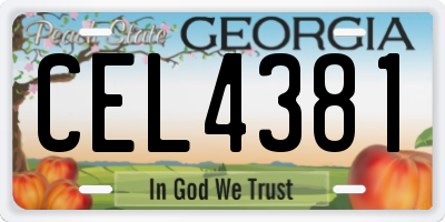 GA license plate CEL4381