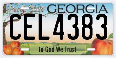 GA license plate CEL4383