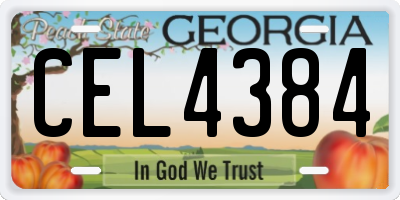 GA license plate CEL4384