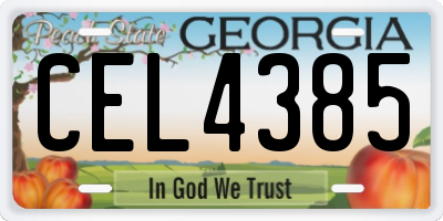 GA license plate CEL4385