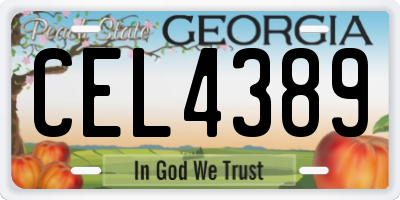 GA license plate CEL4389