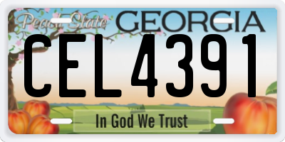 GA license plate CEL4391