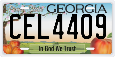 GA license plate CEL4409