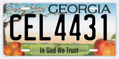 GA license plate CEL4431