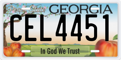 GA license plate CEL4451