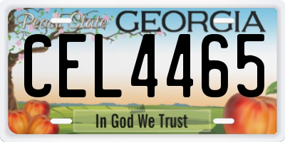 GA license plate CEL4465