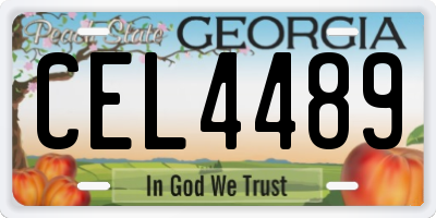 GA license plate CEL4489