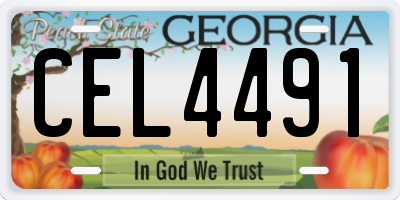 GA license plate CEL4491