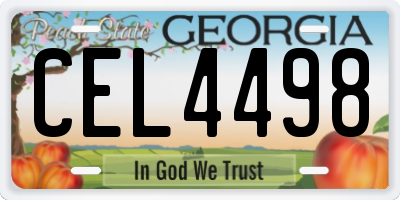 GA license plate CEL4498
