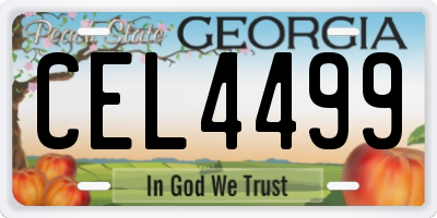 GA license plate CEL4499