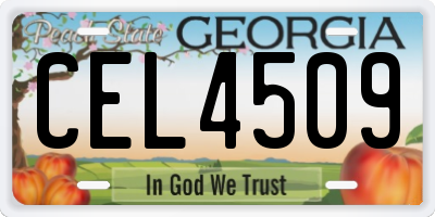 GA license plate CEL4509