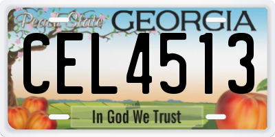 GA license plate CEL4513