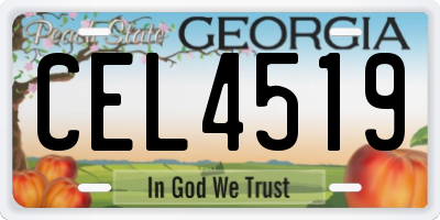 GA license plate CEL4519