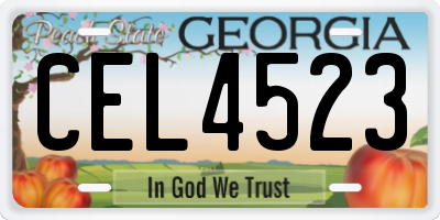 GA license plate CEL4523