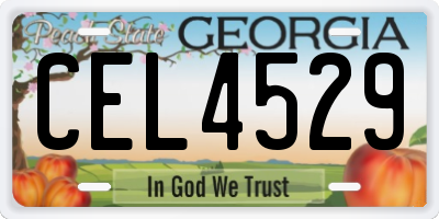 GA license plate CEL4529