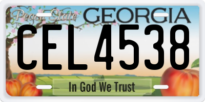 GA license plate CEL4538