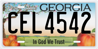 GA license plate CEL4542