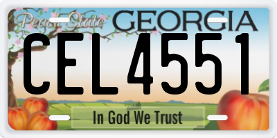 GA license plate CEL4551