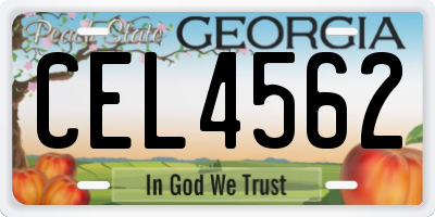 GA license plate CEL4562
