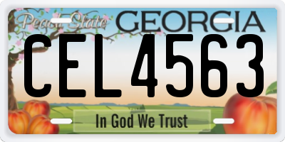 GA license plate CEL4563
