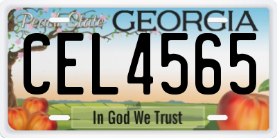 GA license plate CEL4565