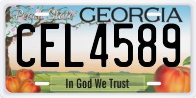 GA license plate CEL4589