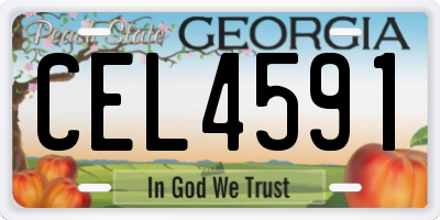GA license plate CEL4591