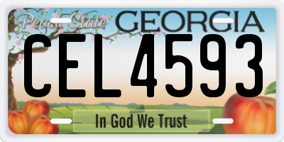 GA license plate CEL4593