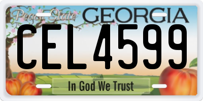 GA license plate CEL4599