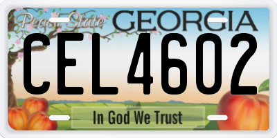 GA license plate CEL4602