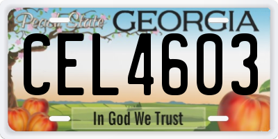 GA license plate CEL4603