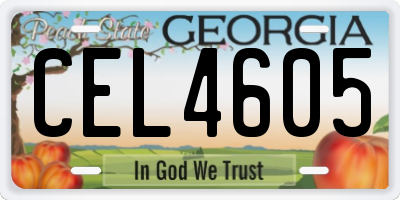 GA license plate CEL4605