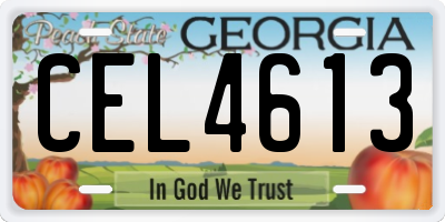 GA license plate CEL4613