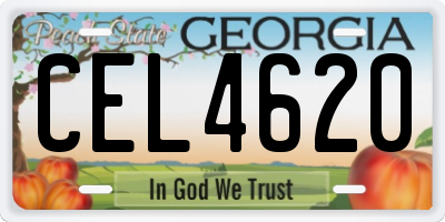 GA license plate CEL4620