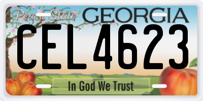GA license plate CEL4623